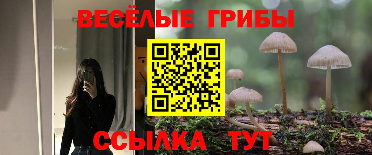 Нефтеюганск  Псилоцибиновые грибы MAGIC MUSHROOMS  Вход с VPN 